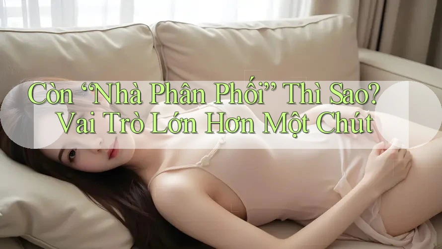 Còn “Nhà Phân Phối” Thì Sao? Vai Trò Lớn Hơn Một Chút